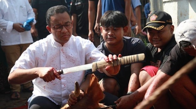 Anies Sembelih Sendiri Sapi Limosin Seberat 1,2 Ton